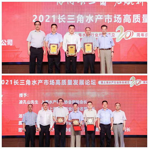 協同長三角 啟航新征程